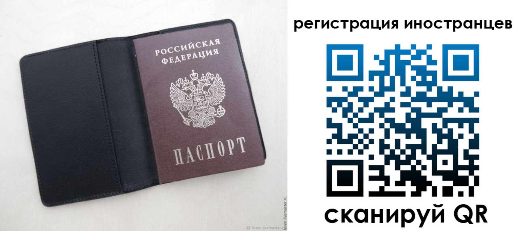 прописка ребенка в Скопине